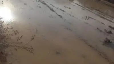 أمطار نادرة ورعد وبرق تضرب السلوم وسيدي براني وواحة سيوة