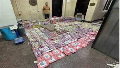 تأجيل محاكمة عاطل بتهمة حيازة مفرقعات واتجار بالألعاب النارية بمصر الجديدة