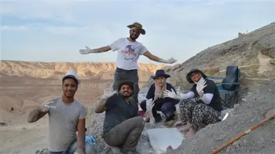 كشف جديد من جامعة المنصورة يوضح بداية الحياة البحرية بعد انقراض الديناصورات