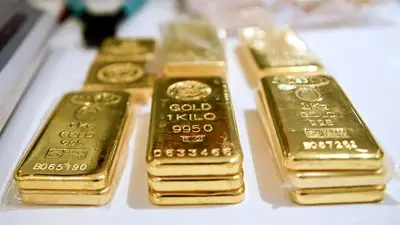 هبوط حاد لأسعار الذهب عالمياً مع توقعات استمرار رفع الفائدة