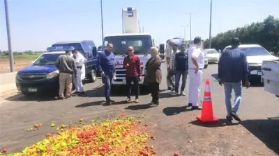 إصابة شخصين في انقلاب سيارة خضروات بالدقهلية