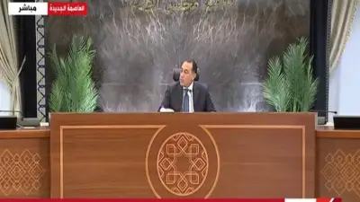 مدبولي: نخطط لدخول عصر إنتاج الخامات الدوائية بأول مصنع محلي