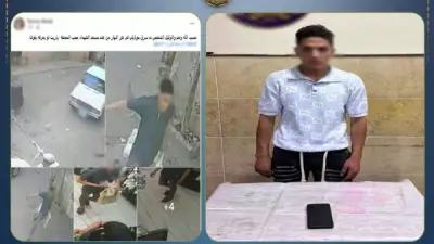 القبض على عامل لسرقة هاتف فتاة بأسلوب الخطف في البحيرة