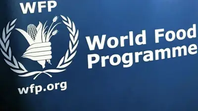 برنامج الأغذية العالمي: نعمل مع الزراعة المصرية لدعم صغار المزارعين
