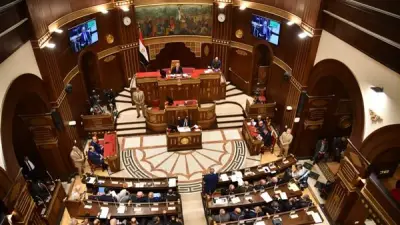 مجلس الشيوخ يصوت على خطة التنمية ويخطر الرئيس والنواب