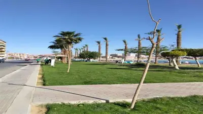 محافظة القاهرة تشارك في اليوم العالمي للبيئة بجهود مكثفة للتشجير وتدوير المخلفات