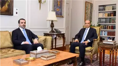 دمشق ترشح يحيى دياب سفيراً جديداً في القاهرة بعد رفض الأحمدي