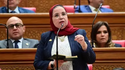 نائبة تطالب الحكومة بتوضيح أسباب توسع عقود العمل المحددة المدة