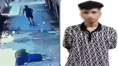 ضبط عاطل تحرش بسيدة مسنة في القليوبية بعد تداول فيديو صادم