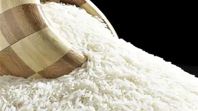 روشتة يونيو لنجاح محصول الأرز: إدارة دقيقة للمياه من البحوث الزراعية