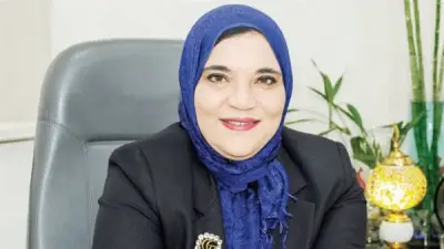 هيئة الاستثمار: 