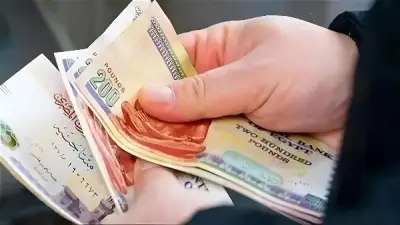 فخري الفقي يدعو لربط الدعم بالمؤشرات السعرية للحفاظ على القوة الشرائية