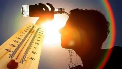 الأرصاد تحذر من ارتفاع الحرارة والزراعة توصي بانتظام الري لحماية المحاصيل