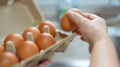 بعد انخفاض سعره.. أفضل طريقة لتخزين البيض فترة طويلة