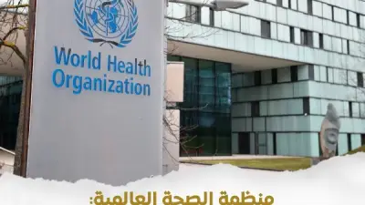 الوزراء يبرز إشادة الصحة العالمية بجاهزية الترصد الوبائي بمصر