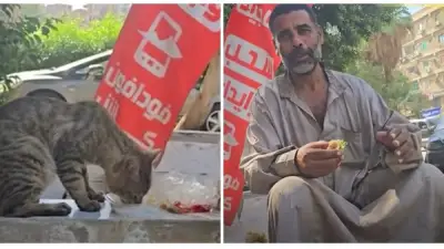 عامل باليومية يتقاسم إفطاره مع قطة في مشهد إنساني يخطف القلوب