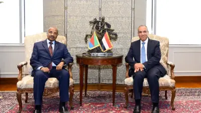 وزير الخارجية يبحث مع نظيره الإريتري تعزيز الشراكة الاستراتيجية