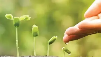 أسباب وشروط قبول الأعمال الصالحة ونمائها عند الله