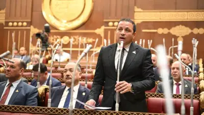 عضو بالشيوخ: قرار الكهرباء الجديد يخفف الأعباء عن أصحاب العدادات الكودية