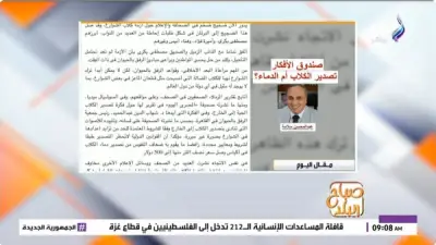 جدل حول تصدير الكلاب الضالة وحلول أخلاقية لأزمة الشوارع