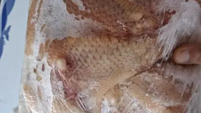 ضبط أطنان أغذية ولحوم منتهية الصلاحية ببورسعيد قبل بيعها في حملة تموينية