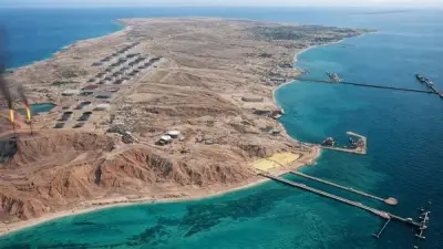 ترامب يكشف خطة احتلال جزيرة 