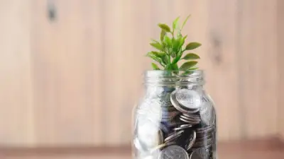 حكم إخراج الزكاة بالتقسيط على مدار العام.. الإفتاء تجيب بالتفصيل
