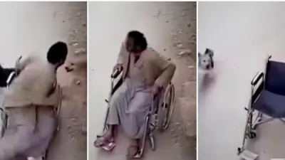 شحات على كرسي متحرك يهرب من الكلاب ويكشف حقيقة إعاقته