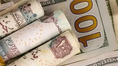 بلومبرج: الجنيه المصري أفضل عملات العالم أداءً أمام الدولار مع تدفقات قياسية