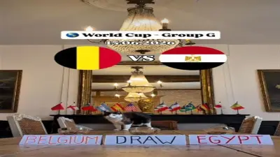 القط نيمبوس يتوقع الفائز في مباراة مصر وبلجيكا بكأس العالم 2026
