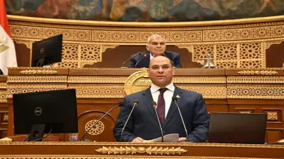 مجلس الشيوخ يناقش خطة الحكومة لتوطين صناعة الدواء في مصر