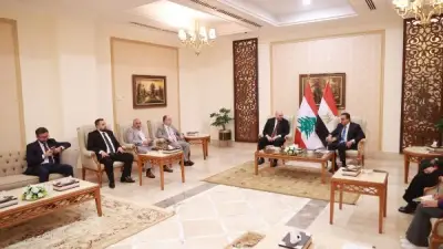 وزير الصحة: إرسال 10 أطنان من المستلزمات الدوائية إلى لبنان تنفيذا لتكليفات الرئيس