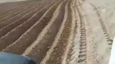 البنك الزراعي والأمثال الشعبية: تراث يعكس فلسفة العمل في الأرض ودعم التنمية