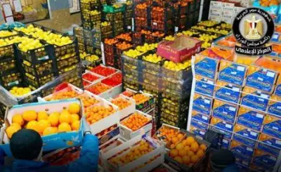قفزة كبيرة في الصادرات الغذائية المصرية بقيمة 180 ألف طن خلال يونيو 2026