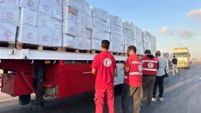 الهلال الأحمر يرسل 3117 طنًا من المساعدات إلى غزة ضمن القافلة 217
