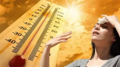 طقس شديد الحرارة في الصعيد غداً الأحد 14-6-2026 والأرصاد تحذر من ارتفاع الرطوبة