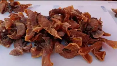إقبال كبير على سمك الصرمباء في أسواق الغردقة لفوائده الصحية