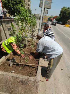 إطلاق مبادرة ازرع شجرة بأبو النمرس لتعزيز المشاركة المجتمعية وتحسين البيئة