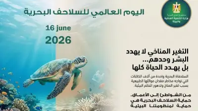وزيرة التنمية المحلية: حماية السلاحف البحرية استثمار في صحة النظم البيئية