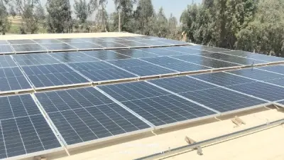 وزارة التنمية المحلية تدعم التحول للاقتصاد الأخضر بالمجتمعات المحلية