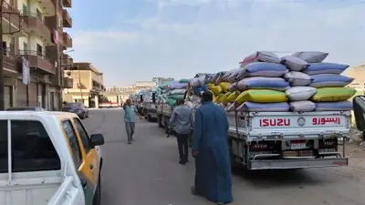 محافظ المنيا: توريد 525 ألف طن من القمح منذ انطلاق موسم الحصاد 2026
