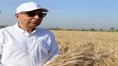 محافظة المنيا تحقق إنجازًا قياسيًا بتوريد 527 ألف طن قمح محلي