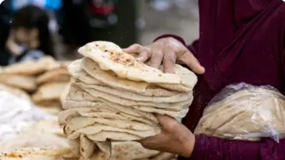 محمد علي خير يحذر الحكومة من رفع سعر الخبز المدعم وتخفيض وزنه