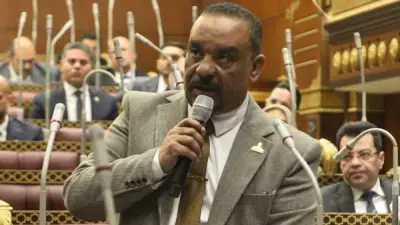 برلماني: لقاء السيسي وترامب يعكس ثقة المجتمع الدولي بالدور المصري وقدرته على التوازن