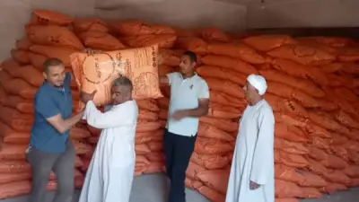 كارت الفلاح والمزادات.. خطة الزراعة الجديدة للقضاء على السوق السوداء وضبط تداول الأسمدة