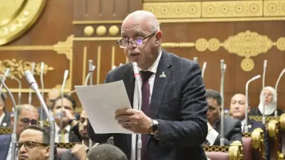 نائب: الصناديق الاستثمارية الجديدة تعكس رؤية الدولة لبناء قاعدة صناعية قوية