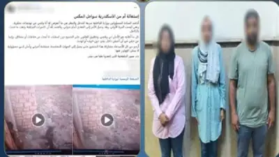 كشف ملابسات اعتداء على سيدة ونجلها بسبب خلافات جيرة بالإسكندرية