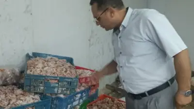 مصادرة 355 كيلو لحوم ودواجن وأسماك غير صالحة بالغربية