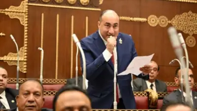 عضو بالشيوخ: مشاركة السيسي بقمة السبع تؤكد مكانة مصر الدولية