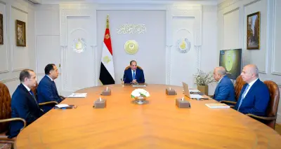 السيسي يؤكد على ضرورة تحسين جودة التغذية الكهربائية ورفع كفاءة استخدام الوقود التقليدي